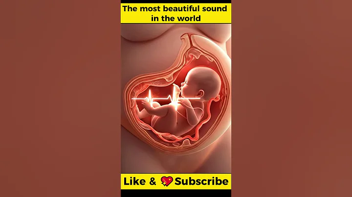 The Story of a Heartbeat ❤️ #shorts  #miracleinmotion #pregnant #baby #positivebirth