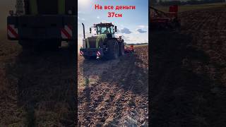 Claas Xerion 5000 + Horsch Tiger 4MT с бункером для внесения удобрений .