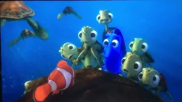 Finding Nemo Marlins story