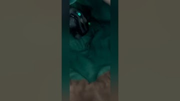 vector robot reactions #vector #vectorrobot #petrobot #airobot