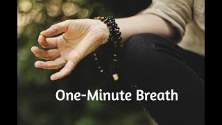Famous Kundalini Yoga: The One-Minute Breath Pranayam Net Worth