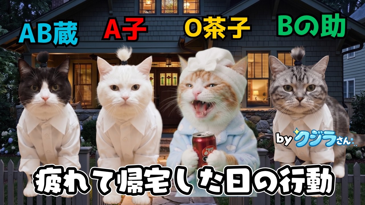 血液型別😽疲れて帰宅した日の行動を観察👀【クジラさん🐳】