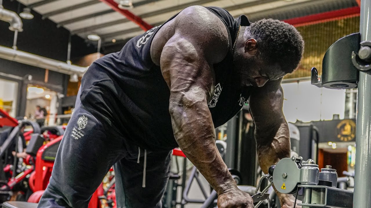 Back Workout | Mr. Olympia 2024