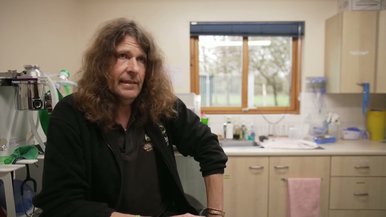 Channel 4 News 28Mar23   illegal practice used to trap & then hunt live foxes