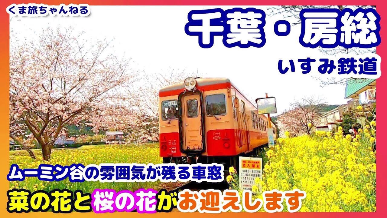 いすみ鉄道 前編 春の車窓 菜の花と桜が香るムーミン谷へ 千葉県房総半島 青春18きっぷ日帰りの旅3 Youtube