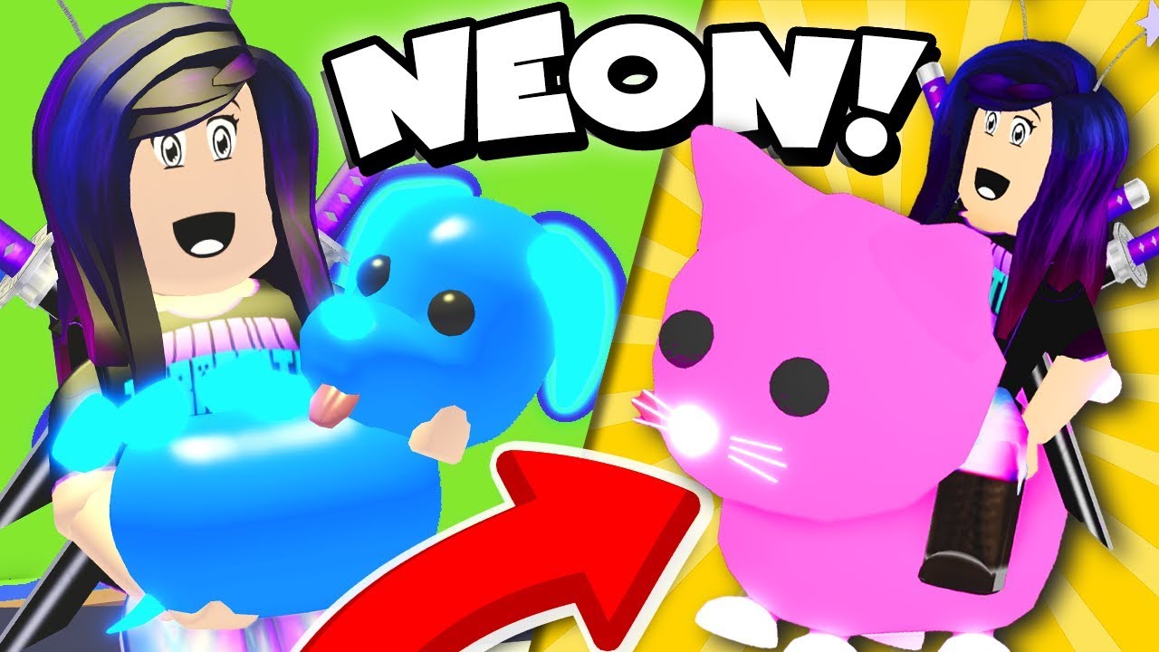 Neon Pink Cat And Neon Blue Dog In Roblox Adopt Me Youtube - nyan cat roblox adopt me