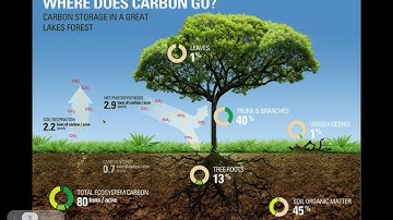 Soil Respiration Intro