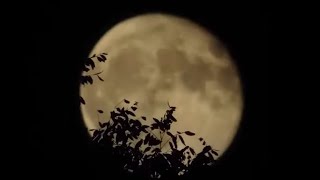 Beautiful Moon, Nature Sounds and Native American Flute