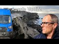 Fulltime Vanlife in Middle Harbour, Sydney