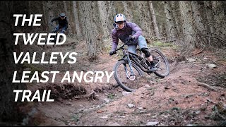 Angry Sheep, Innerleithen's best beginner enduro trail. Trail Check