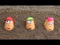 Toy story Cara de papa en arena Mr Potato Head