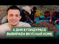 4 дня в Гондурасе. Выбираем вкусный кофе.