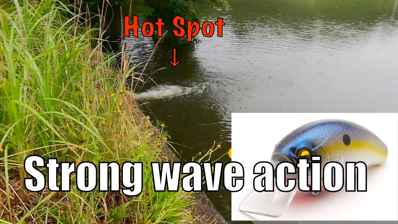 【Bass Fishing】Crankbaits with strong wave action on rainy days【RAID JAPAN】