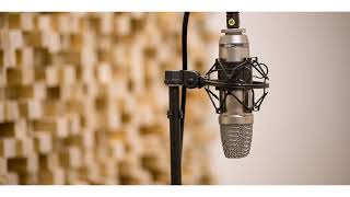 Andra And The Backbone  Jalanmu Bukan Jalanku vocals Backing Track