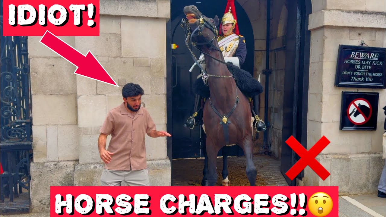 ❌IDIOT TOURIST REFUSES TO MOVE… HORSE CHARGES‼️😱