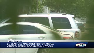 2 dogs dead after being found in hot car in Louisville