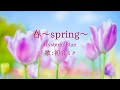 【初音ミク】春~spring~/Hysteric Blue【カバー】