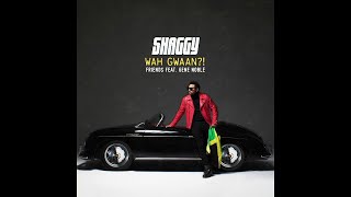 Shaggy - Friends ft. Gene Noble (Official Audio)  | 15p Lyrics/Letra
