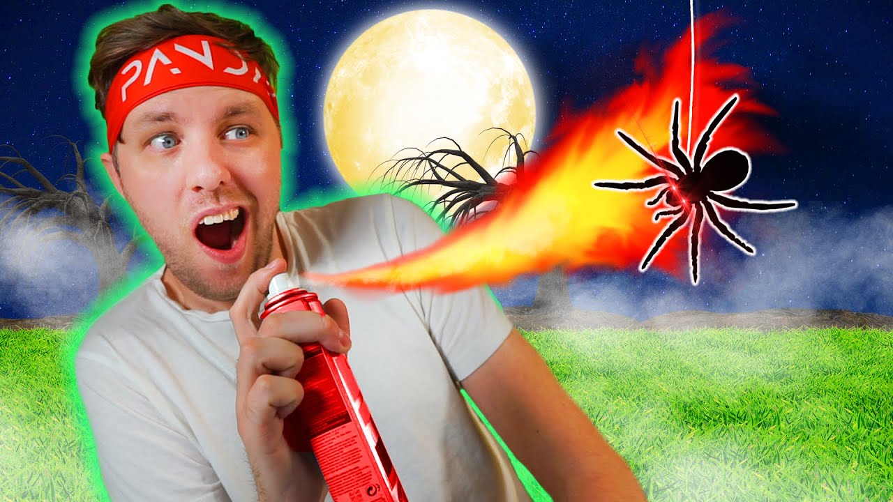 JAG ELDADE UPP MITT HUS *för jag hittade en spindel...*