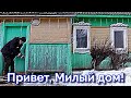 КАК ЖИВЁМ В ДЕРЕВНЕ ЗИМОЙ! ОДИН ДЕНЬ В БЕЛОРУССКОЙ ДЕРЕВНЕ