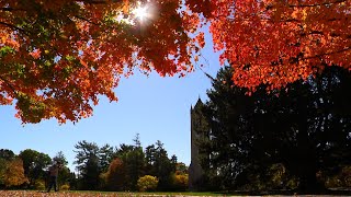 Postcard from Campus: Fall in Love