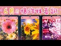 五月塔羅占卜：🔮6月运势☀️6月你即將收到怎樣的爆炸性喜訊🥳你將在哪個方面迎來好消息💌你的人生即將走向一種怎樣的方向🚀你的夢想能否顯化🙏宇宙想給你怎樣的重要提示✅