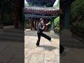 Xingyiquan liuyingkungfu  wushu sports china martialarts shorts