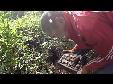 Лежало в земле годами! Нам дико повезло