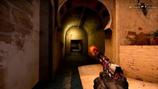 CS:GO - Ace! (#17)