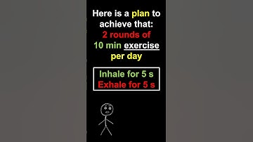 Daily Meditation Exercise for Enhancing the Attention Span and the Focus Muscle