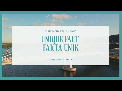 Video: 5 Fakta Tentang Tetra