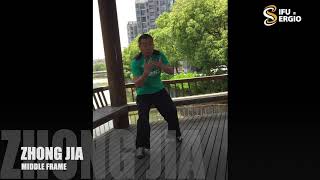 Private footage of Yang Taijiquan (Tian Zhaolin) Lessons in Shanghai 2014