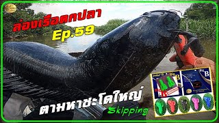 ล่องเรือตกปลา Ep.59 เหยื่อ#กะปอมบีบิ๊กบี ตามหาชะโดใหญ่ enjoy in Skipping fishing with kayak