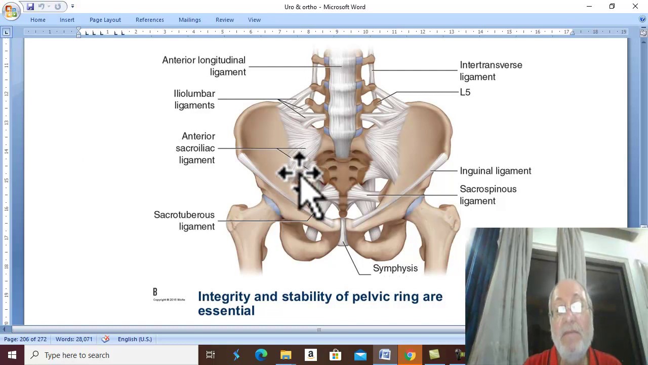 Orthopedic in Arabic 29 ( Fracture pelvis , part 1 ) , by Dr.Wahdan