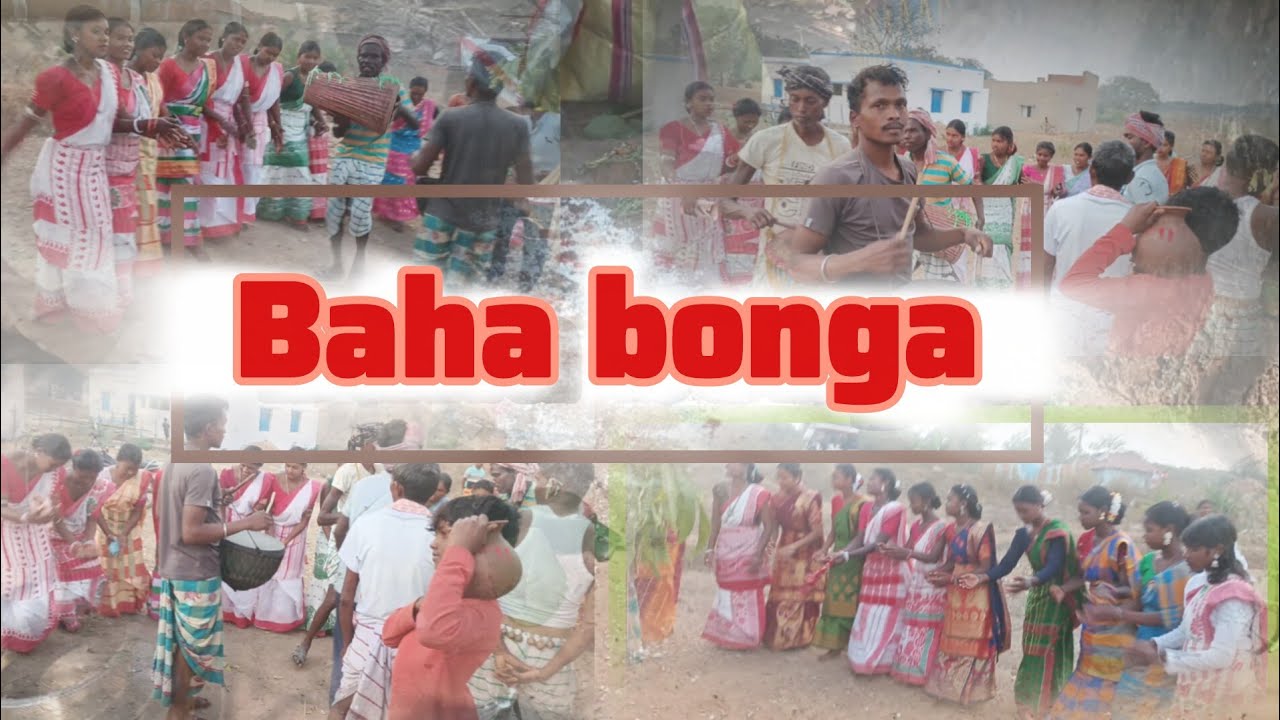 1 March 2026 Baha bonga ###vlog 