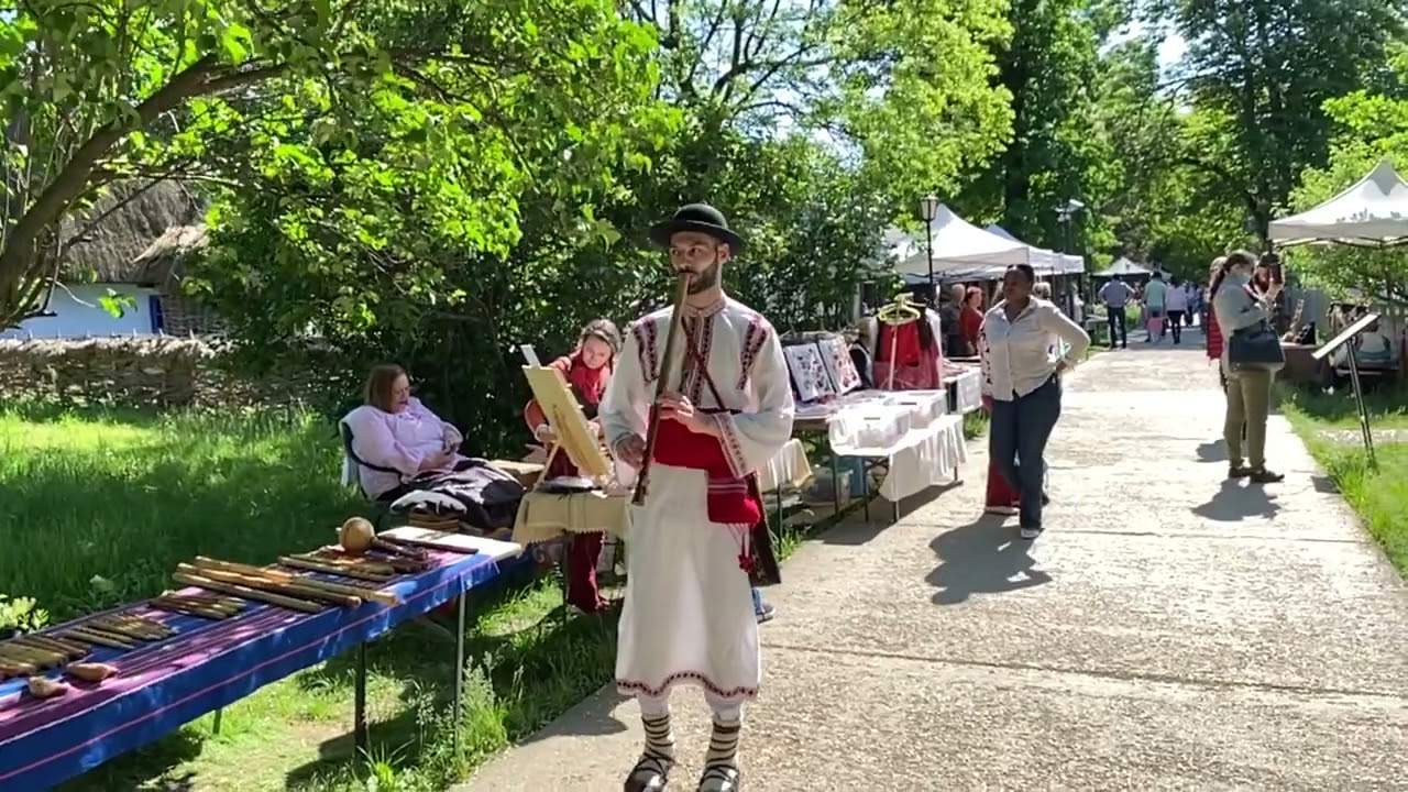 Rapsod popular / Folk rhapsodist