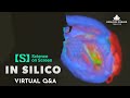 In Silico | Virtual Science on Screen Q&amp;A [HD] | Coolidge Corner Theatre