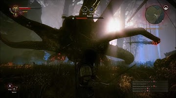 Witcher 2 Guide Kayran Bossfight (1080p)