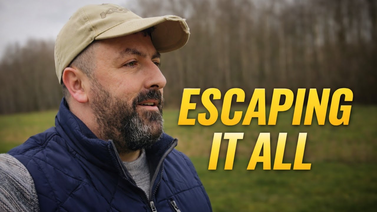 Into the Woods | Scenic Forest Walk & Peaceful Nature Escape