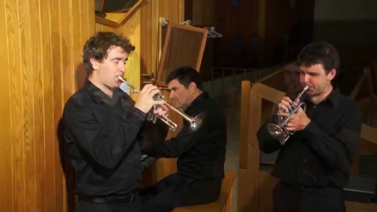 Johann Christoph Pezel, Sonata en do / in C no 69