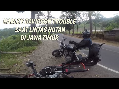 ETAPE 7 - MENUJU LUMAJANG MELEWATI GUNUNG GUMITIR | PERJALANAN MENUJU PULAU DEWATA