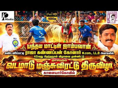 🔴காளையார்கோவில் வடமாடு மஞ்சுவிரட்டு  | LIVE (நேரலை) | Kalayarkovil Vadamadu 2026 | PK Media