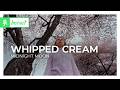 WHIPPED CREAM - midnight moon [House | Monstercat]