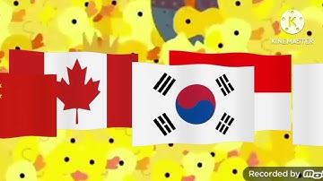 duck flood add round 2