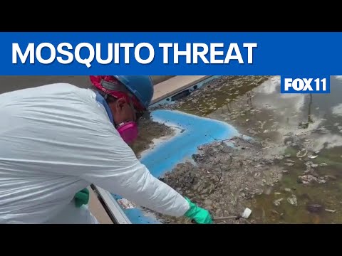 Eaton Fire burn zone faces massive mosquito threat
