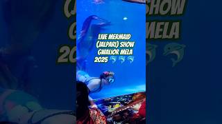 Mermaid (Jalpari) Show at Gwalior Mela 2025 #jalpari #mela #gwaliormela