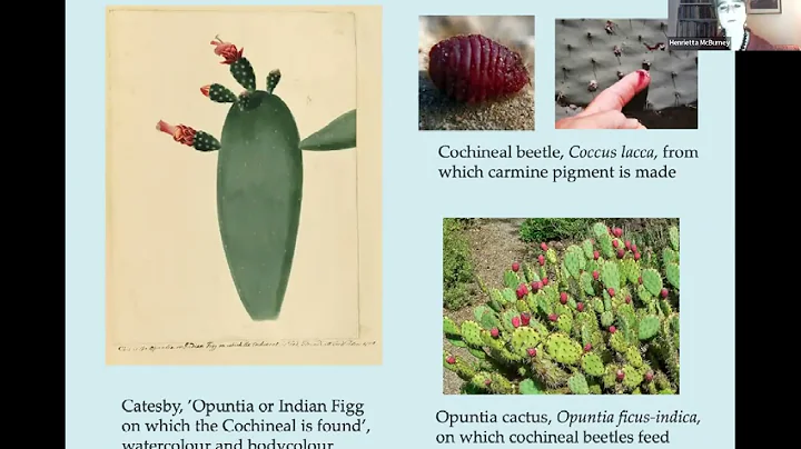 Illustrations and Illuminations