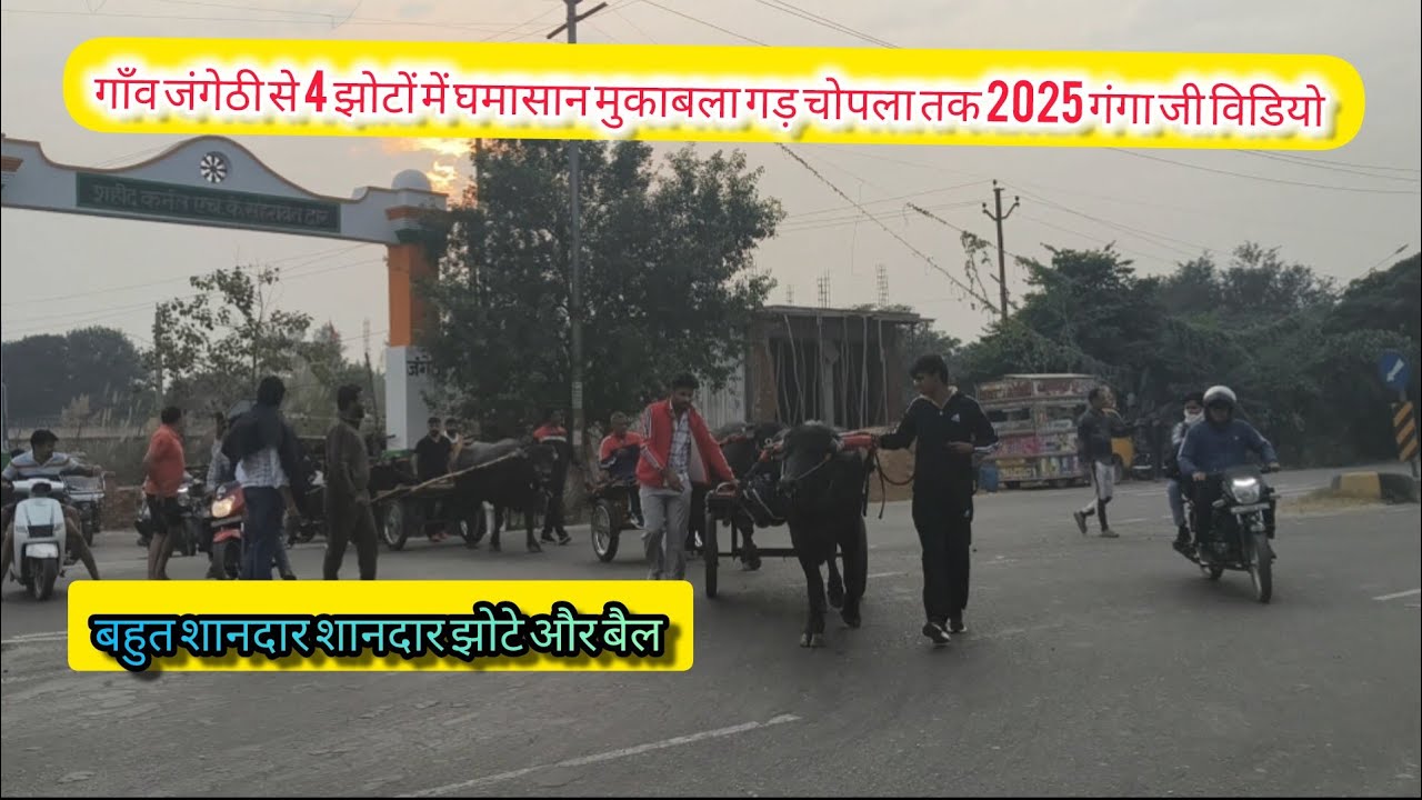 गाँव जंगेठी से 4 झोटों में घमासान मुकाबला गड़ चोपला तक 2025 गंगा जी विडियो  बहुत शानदार शानदार बैल 