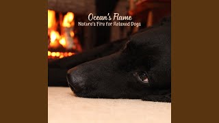 Fireside Fetch Frolic