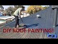 How To Paint Your Roof With A Broom
